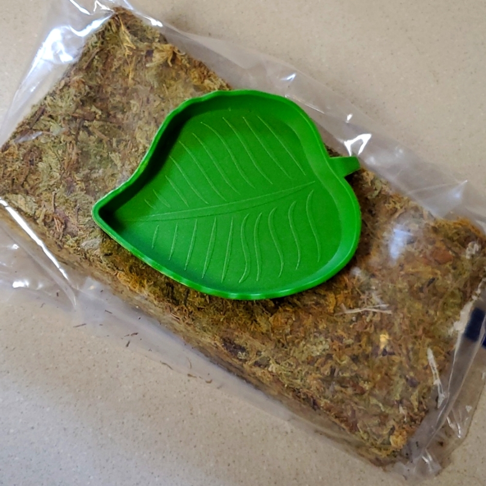 Reptile bundle